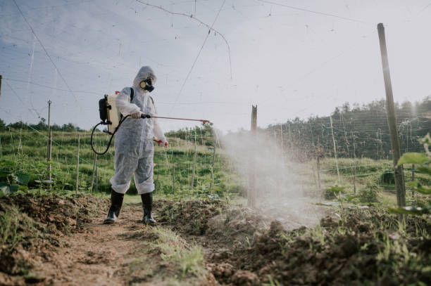 Best Commercial Pest Control Services  in Avery Creek, NC