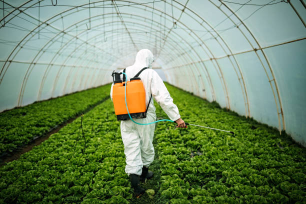 Best Local Pest Control Services  in Avery Creek, NC