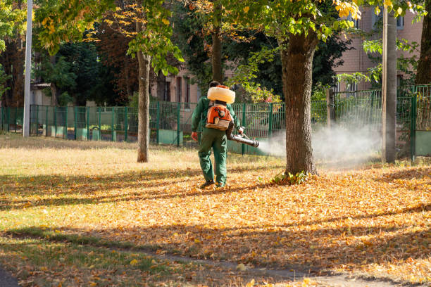 Pest Control for Restaurants in Avery Creek, NC